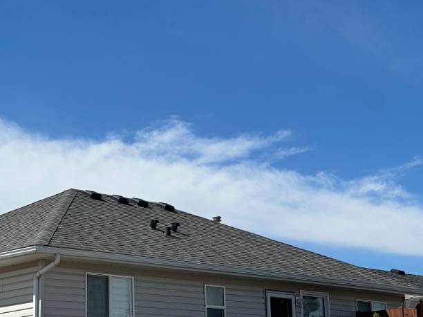 Best Solar Panel Roofing Installation  in Nashville, IN